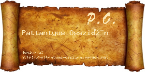 Pattantyus Osszián névjegykártya
